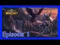 EPISODE 1 - Darkshore Adventures | WORLD OF WARCRAFT VANILLA - Night Elf Druid Gampelay