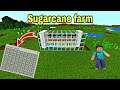 How to make sugarcane farm in minecraft.Sugarcane farm tutorial.Tpk plays.