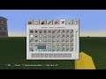 Minecraft woodland mansion+illagers