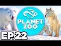 Planet Zoo: Arctic Pack Ep.22 - 🐻 GRIZZLY BEAR HABITAT, MEXICAN CONSERVATION SILVER STAR! (Gameplay)