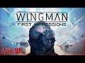 Project Wingman //In-VR : First Impressions (No spoilers)