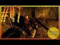 STALKER Anomaly Mod 1.5 Beta 2.4 | Doc's Hideout | Travel Diary #47