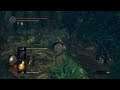 Video 74   Nicht so Königlich der Wald.    Dark Souls Remastered