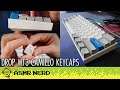 ASMR | Drop MT3 Camillo Keycap Set (soft spoken, tapping, mechanical keyboard typing sounds)