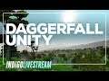 Daggerfall Unity Alpha #1 | Once More Into The Fray...