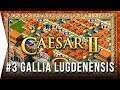 Easy block design! ► Caesar II - Mission 3 Gallia Lugdenensis - Classic City-building Gameplay