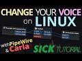 How to add audio effects to your voice in Linux with PipeWire and Carla [SICK TUTORIAL]