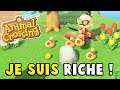 Je suis riche ! | Animale Crossing : New Horizons