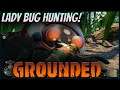 Lady Bug Hunting! | Grounded | Backyard Adventures