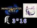 Monster Hunter Rise 魔物獵人崛起 集會6星泡狐龍(大劍)3分16秒 真男人劍法