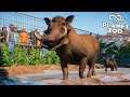 NUEVO VÍDEO PLANET ZOO | GAMESCOM