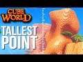 TALLEST POINT IN CUBE WORLD - Let's Play Cube World 2019 [Co-Op] | Episode #12