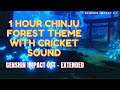 1 Hour Chinju Forest Theme with Crickets Sound - Genshin Impact OST