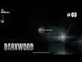Darkwood (PS4 Pro) # 03 - Etwas Klopft an der Tür