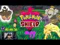 ⚠️Let's Play Pokemon SCHILD 100% Part 49 ⚠️Shinny Hunting Battle Teil 2