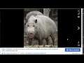 Making of "Learn About Pig"