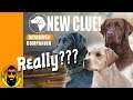 New Clue, New Content Coming! DOGS???? You have to see this!