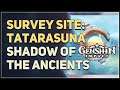 Survey Site Tatarasuna Genshin Impact