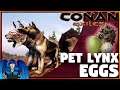 WHERE TO FIND ALL BUY-ABLE PET EGGS & LYNX CUB PET | Conan exiles Siptah |