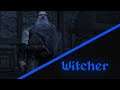 Witcher I: Episode 28