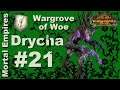 Drycha #21 | The Valiant Sequel of a Misclick | ME | Legendary