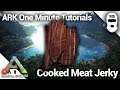 HOW TO MAKE COOKED MEAT JERKY! Ark: Survival Evolved [One Minute Tutorials]