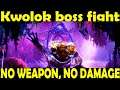 Kwolok boss fight NO DAMAGE, NO ATTACK, 4th will of wisp location, Ori & will of wisp