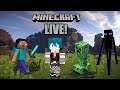 Minecraft Redo Live Stream Part 5