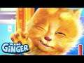 My Talking Ginger - Ginger Lookalike Garfield Movie