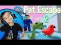 Pet Escape 2 Roblox Gameplay! Let's Play Pet Escape 2 Roblox