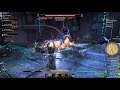 The Elder Scrolls Online: Summerset - Warden Healer playthrough 17 ► 1080p 60fps No commentary