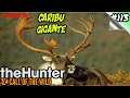 The hunter call of the wild - Valle Yukon - El Caribu Gigante "El Kraken"  - Español 1080p HD