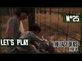 [The last of us part ll] Une vie paisible ? | Let's Play n°25