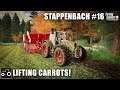 Harvesting Carrots, Selling Onions & Potatoes - Stappenbach #16 Farming Simulator 19 Timelapse