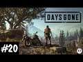 Let's Play! Days Gone No Commentary Part 20 (PS4 Pro)