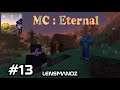 Minecraft MC:Eternal - Ep 13 - Friends??