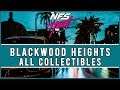 Need for Speed Heat - All Blackwood Heights Collectibles