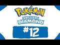 Pokemon Brilliant Diamond Playthrough Part 12 | The Forest Badge