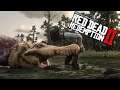 Red Dead Redemption 2 - Legendary Alligator Location (Bull Alligator)