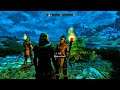 SKYRIM EXPLAINED by WHITRUN GUARD #shorts