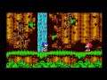 Sonic 3 Cartoon Style (Sega Genesis Hack) Gameplay