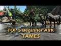 Top 5 Beginner ARK Tames | For New Players |
