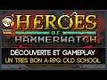 🔥⚔️ UN A-RPG OLDSCHOOL DE QUALITE || GAMEPLAY & DECOUVERTE || HEROES OF HAMMERWATCH ULTIME ED ⚔️🔥