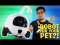 Future Tech: The Robot for your Pet! ROCKI - Unboxing & Review