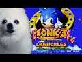 소닉3 & 너클즈 BGM 모음 강아지 리믹스 Sonic 3 Knuckles Gabe the Dog Remix