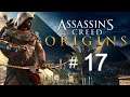 Assassin's Creed Origins / 17