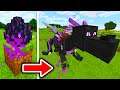 How to HATCH the ENDER DRAGON EGG in Minecraft