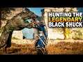 Hunting The Legendary Animal, The Black Shuck! Assassin's Creed Valhalla Legendary Animals
