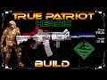 The Division 2 True Patriot High Armor High DPS AR PVE Heroic Shield Build