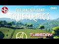 The Magnificent Trufflepigs - Tuesday | 1440p 60fps